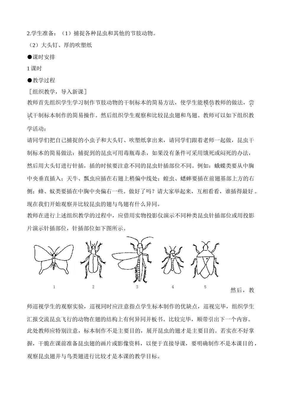 八年级生物新人教版空中飞行的动物(2)_第2页