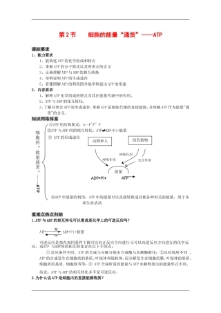 高三生物一轮复习教学案：细胞的能量“通货”—ATP 新人教版必修1