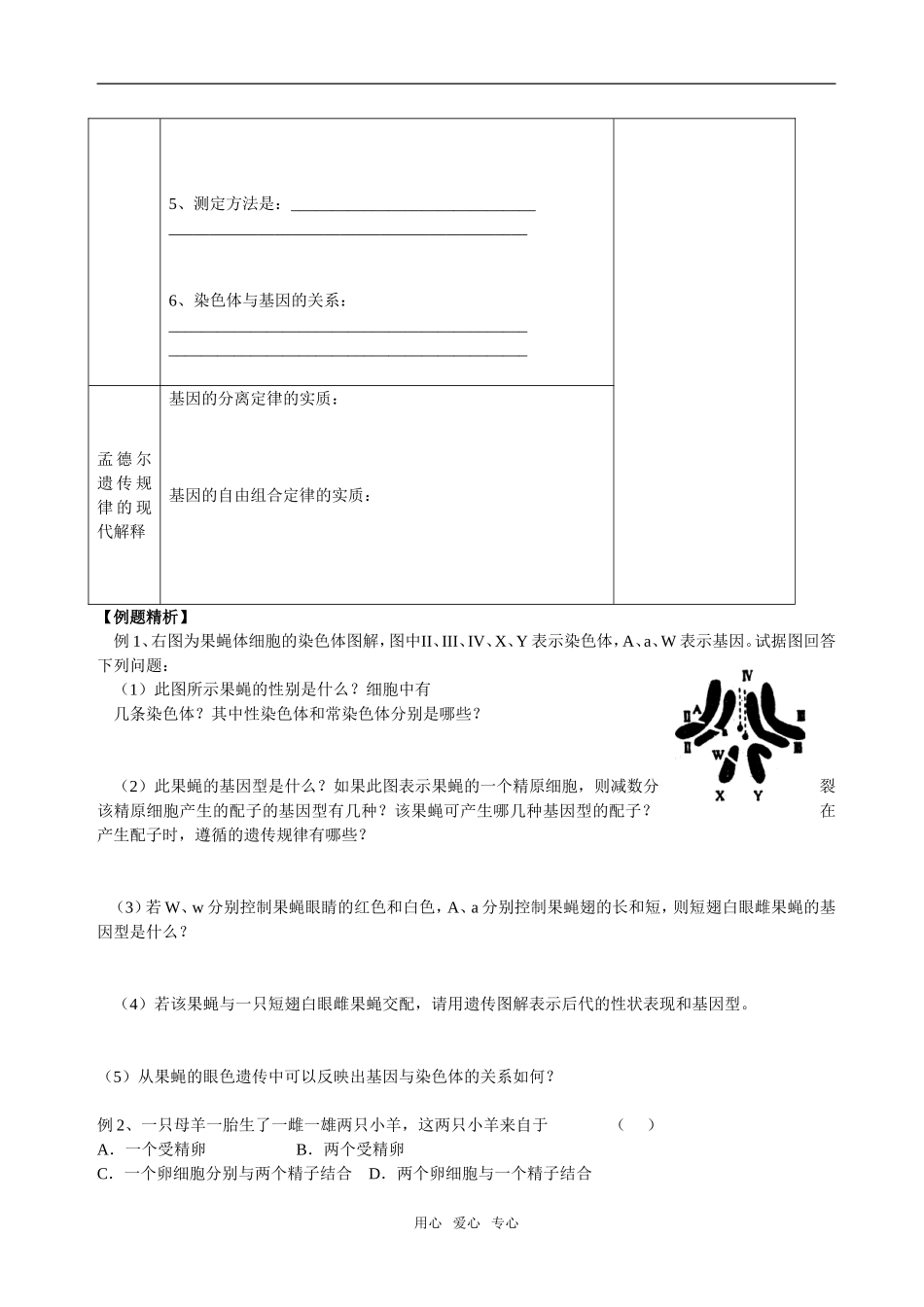 2.2基因在染色体上05_第2页