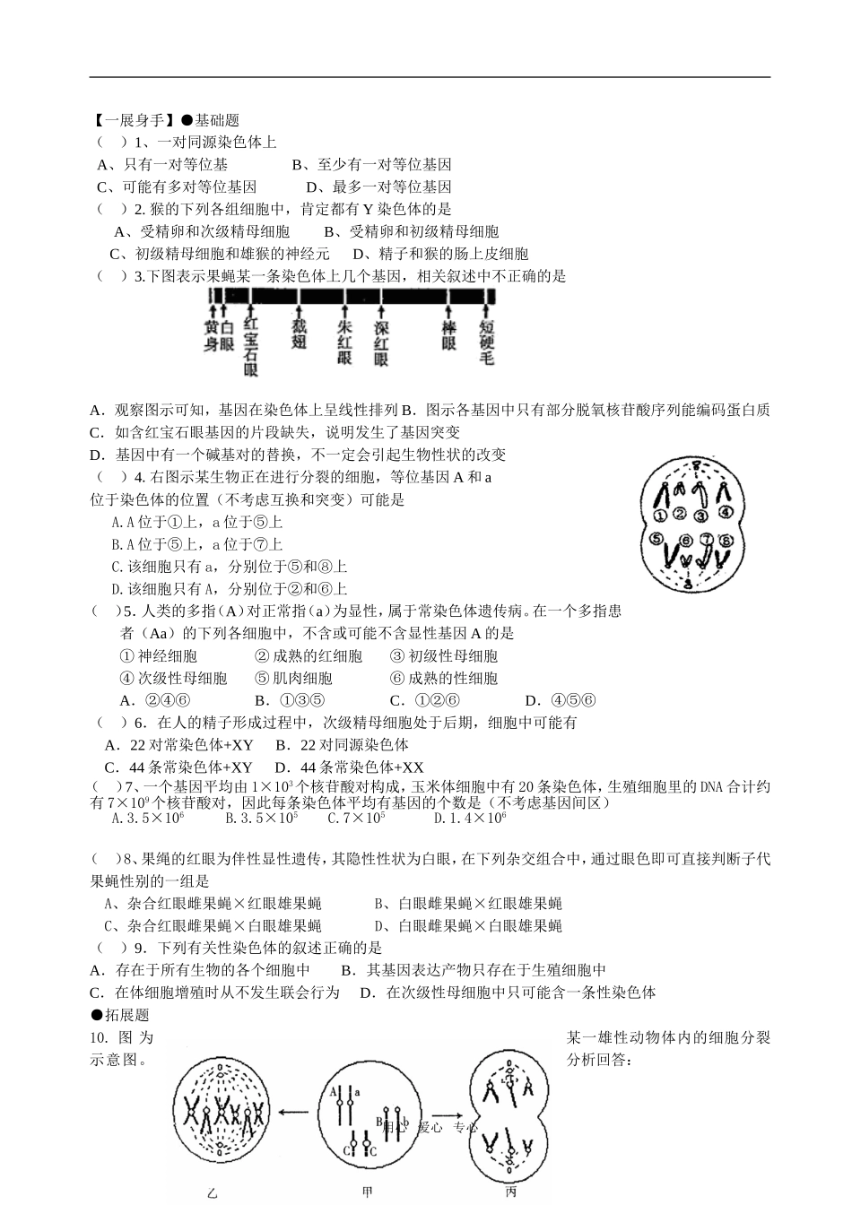 2.2基因在染色体上05_第3页