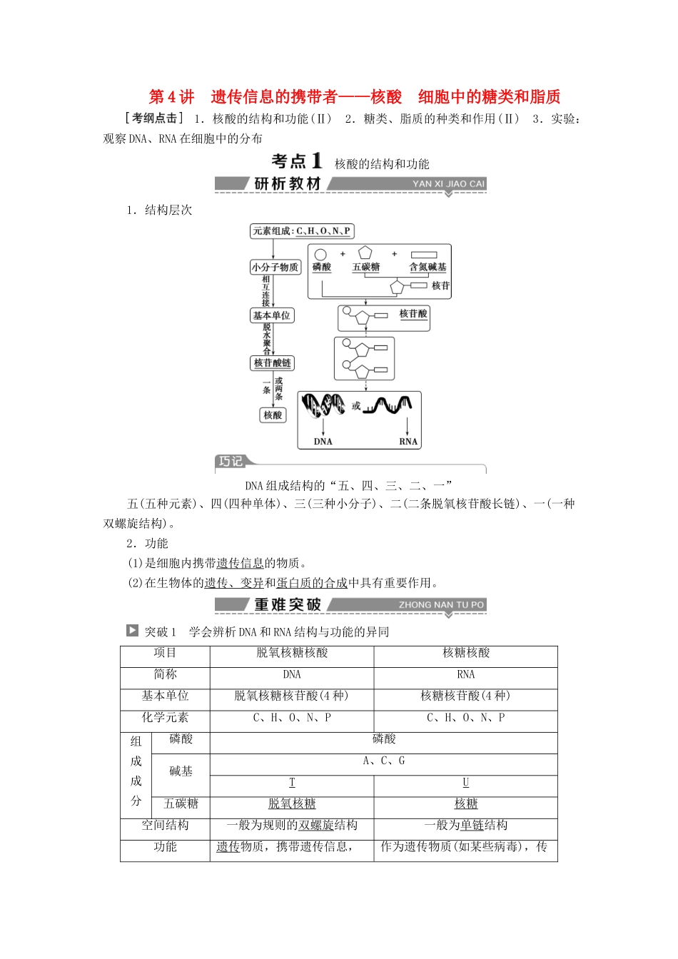 （全国）高考生物大一轮复习 第一单元 细胞的分子组成 第4讲 遗传信息的携带者——核酸细胞中的糖类和脂质学案-人教版高三全册生物学案_第1页