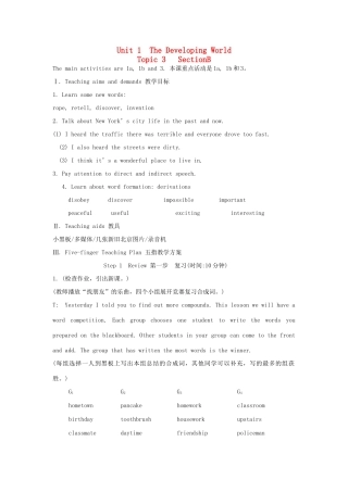 九年级英语上册《Unit 1 The Developing World》Topic3 SectionB 教案 仁爱版