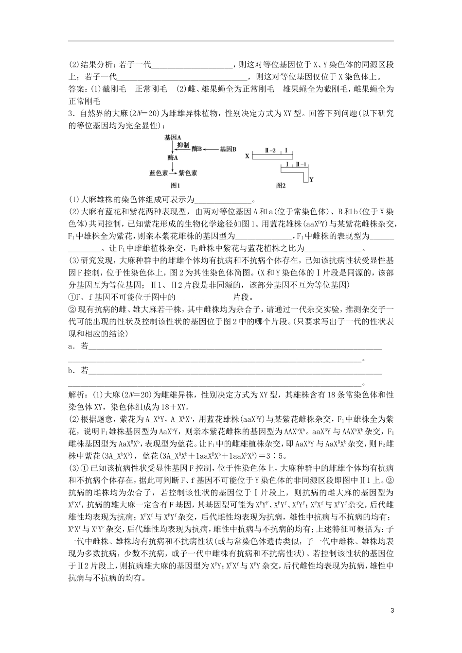高考生物一轮复习 第五单元 遗传的基本规律与伴性遗传 随堂真题演练 加强提升课（四）基因位置的判定及相关实验设计突破学案-人教版高三全册生物学案_第3页