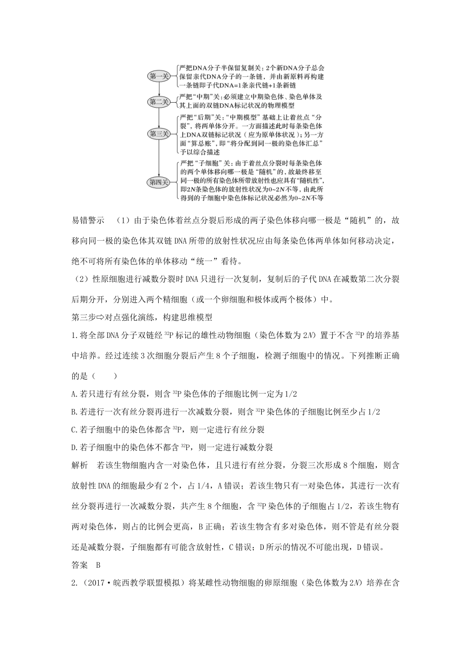 高考生物一轮复习 补上一课3 有丝分裂与减数分裂过程中染色体及DNA放射性追踪学案-人教版高三全册生物学案_第3页