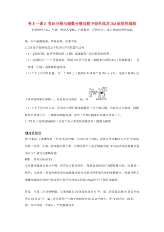 高考生物一轮复习 补上一课3 有丝分裂与减数分裂过程中染色体及DNA放射性追踪学案-人教版高三全册生物学案