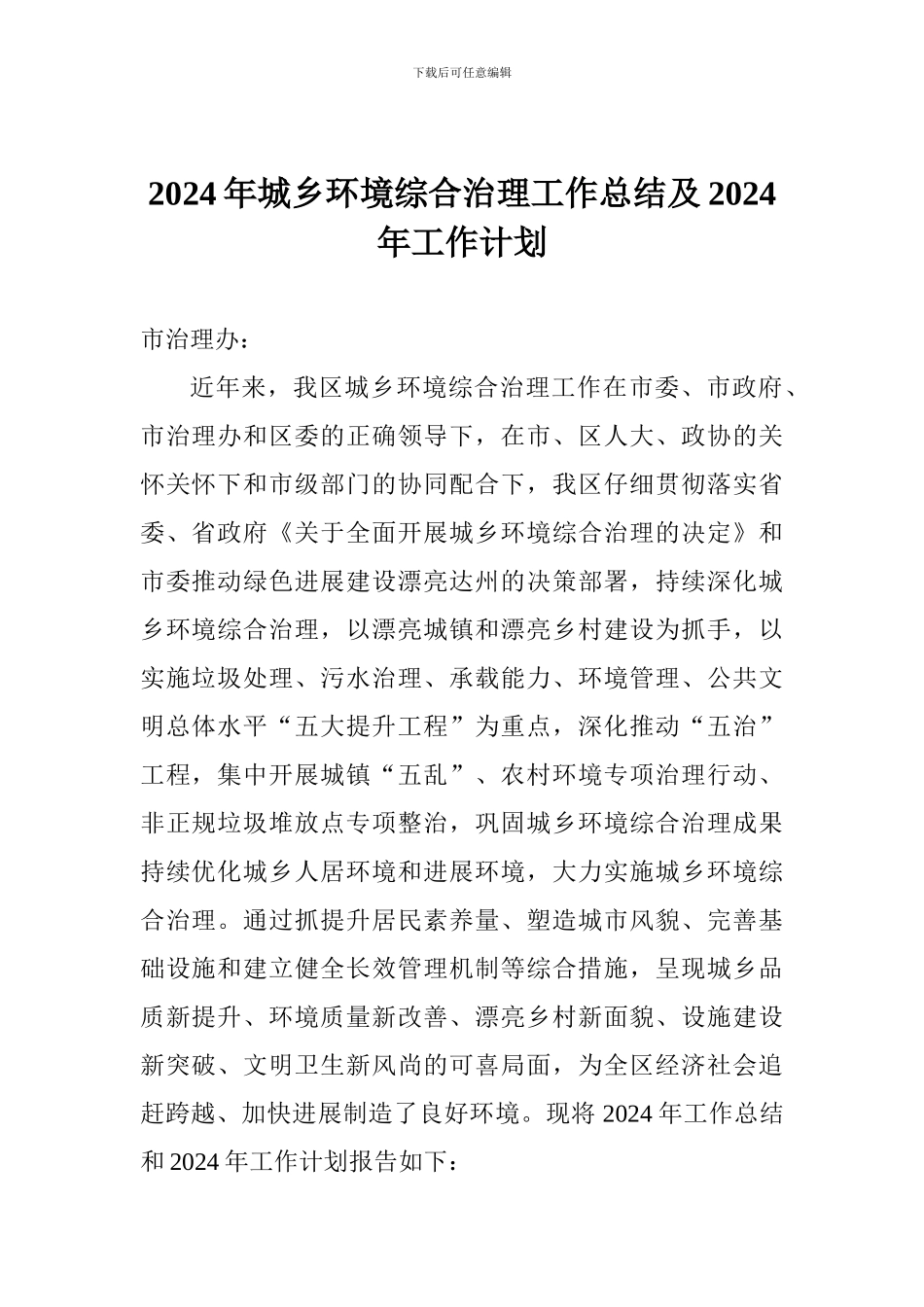 2024年城乡环境综合治理工作总结及2024年工作计划_第1页