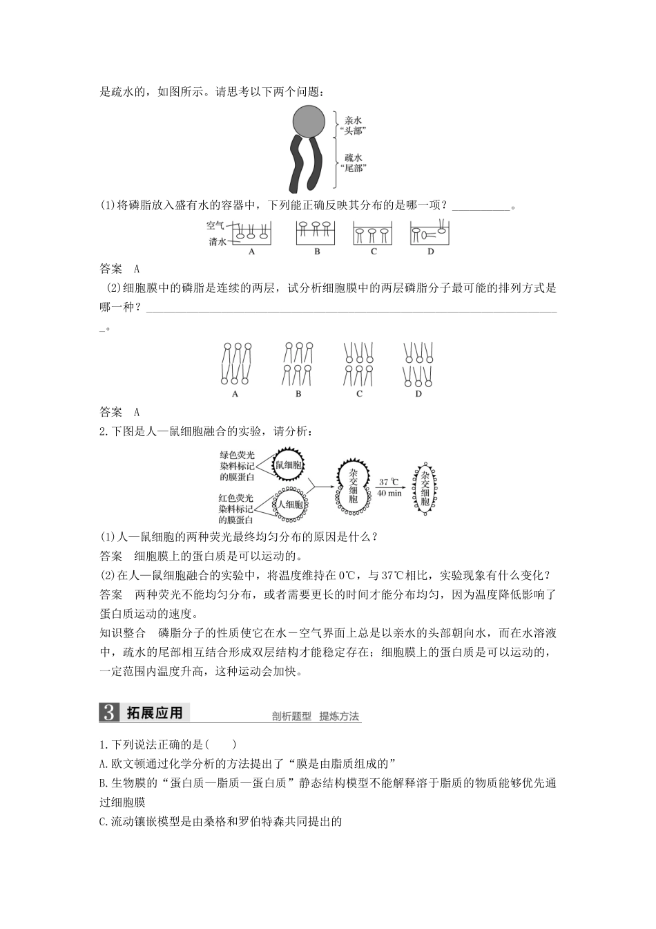 高中生物 第4章 细胞的物质输入和输出 第2节 生物膜的流动镶嵌模型学案 新人教版必修1-新人教版高二必修1生物学案_第2页