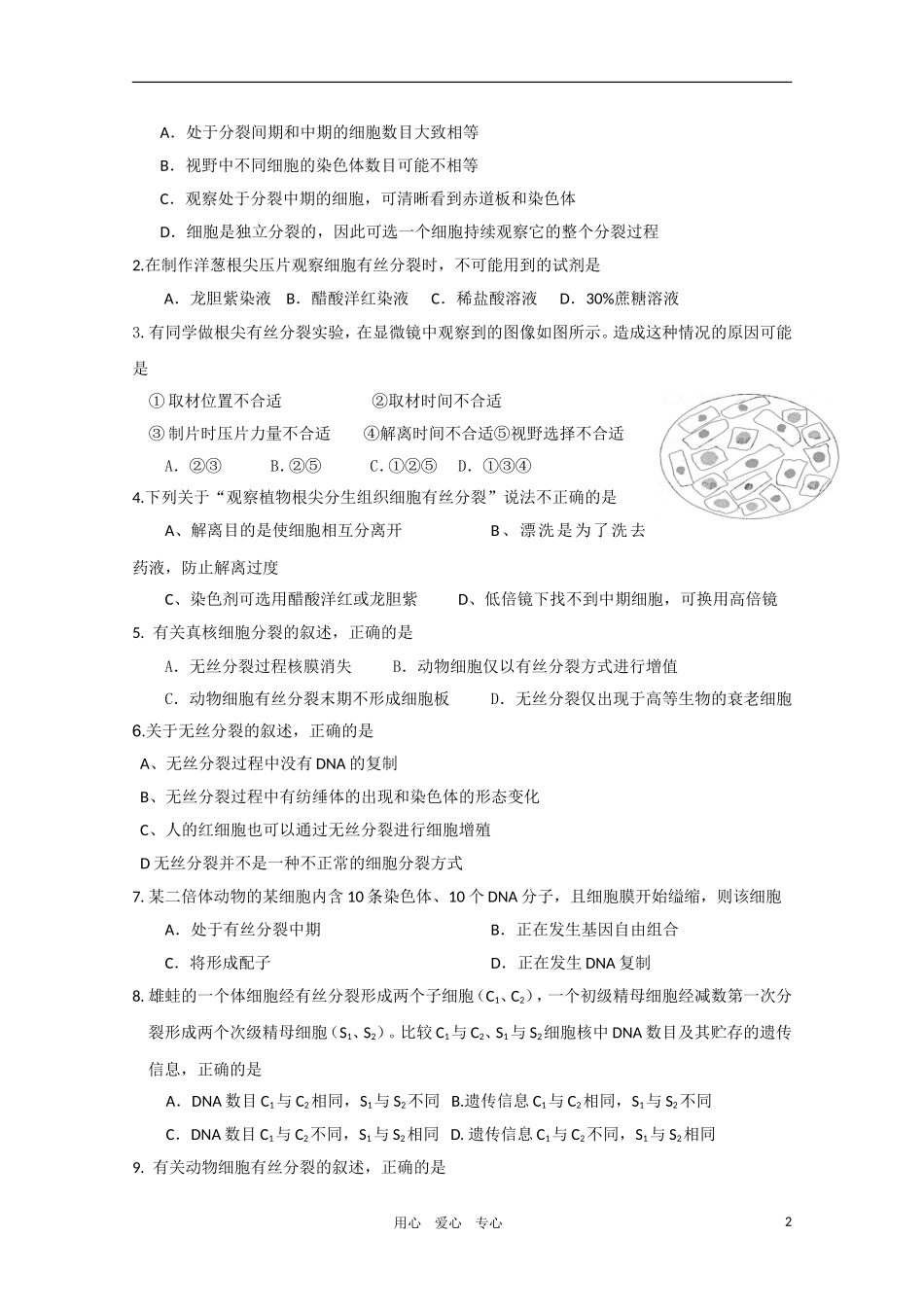 高一生物 细胞增殖精华学案 新人教版_第2页
