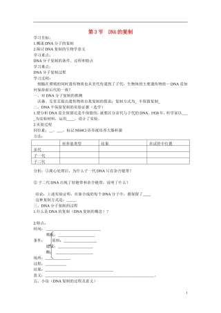 高中生物 第3章　基因的本质第3节《DNA的复制》参考学案1 新人教版必修2
