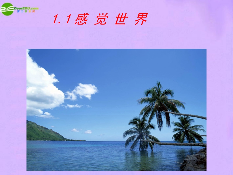 1.1感觉世界（第一课时）_第1页
