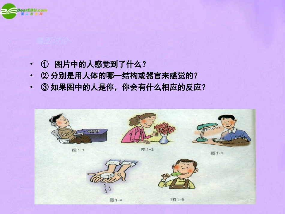 1.1感觉世界（第一课时）_第3页