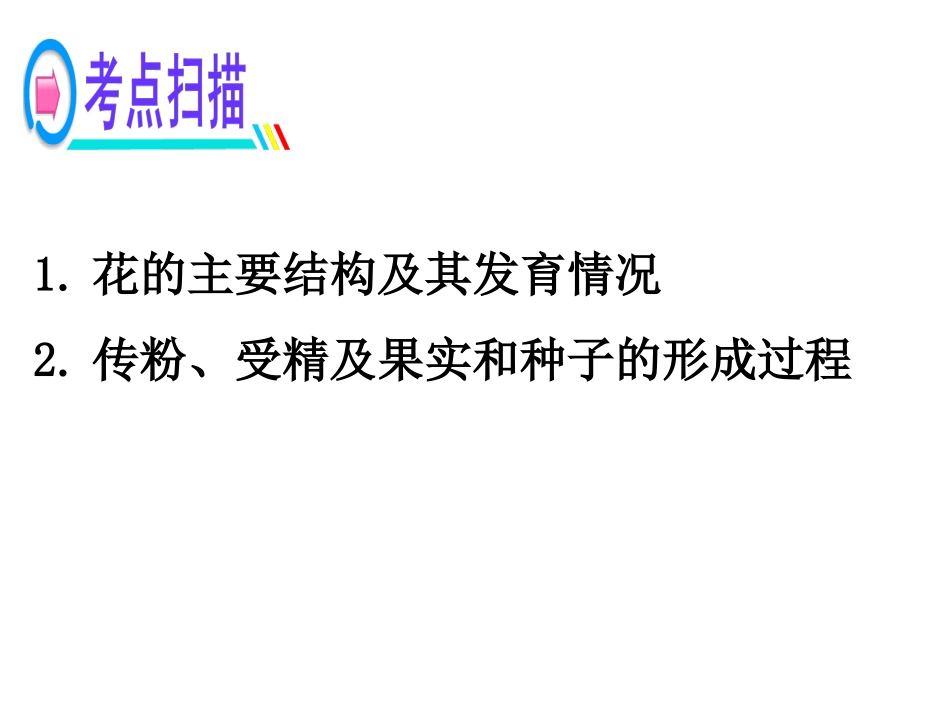 被子植物的一生（二）_第3页