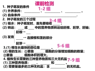 被子植物的一生（二）