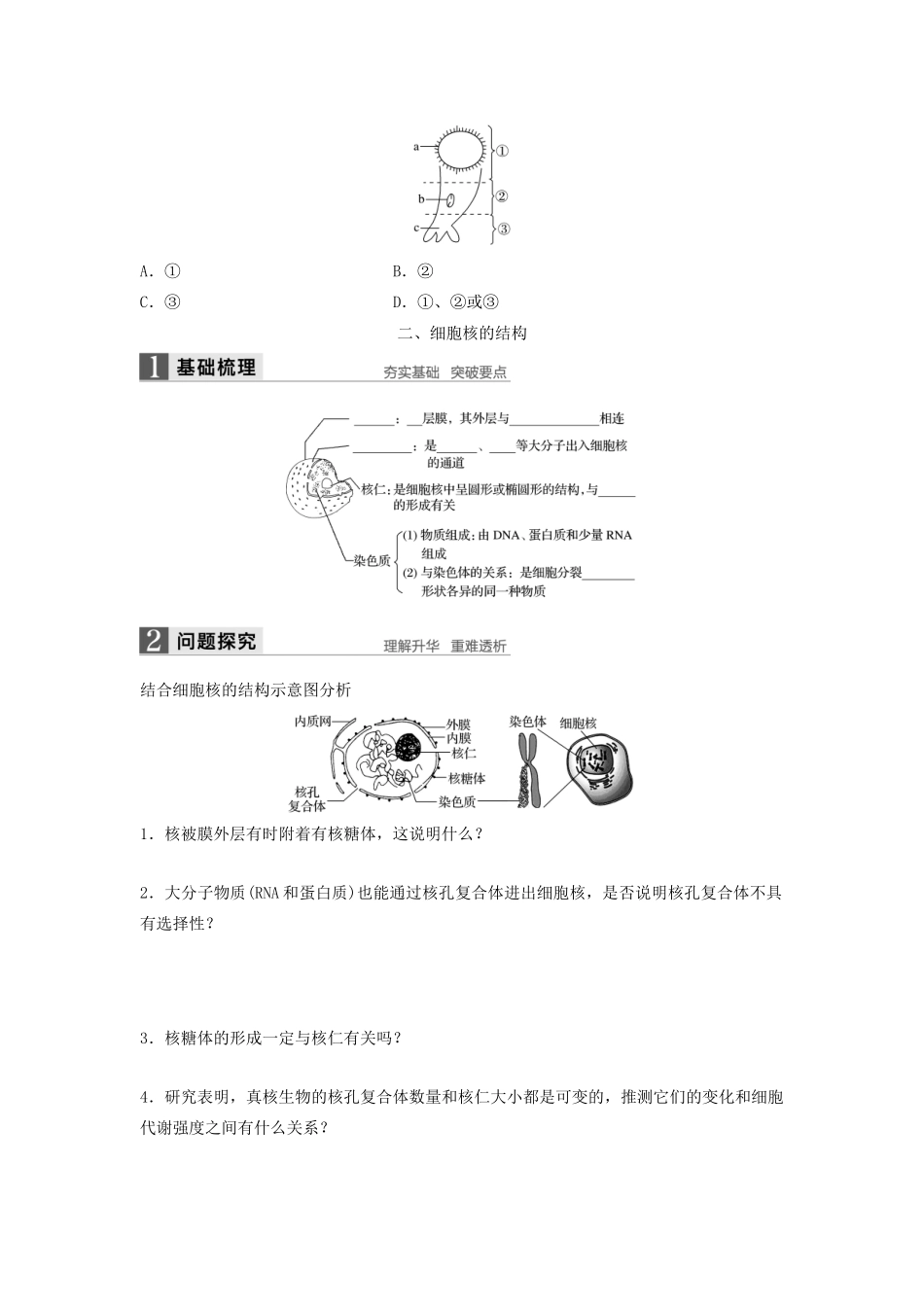 高中生物 2.4 细胞核 原核细胞学案 浙科版必修1-浙科版高中必修1生物学案_第3页