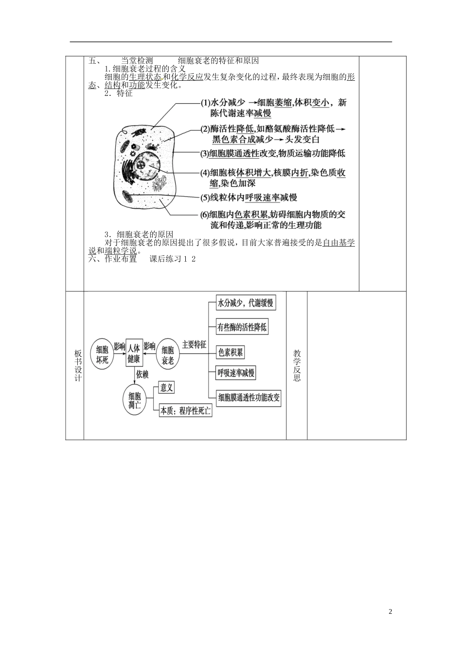 高中生物 6.3细胞的衰老和凋亡导学案1 新人教版必修1-新人教版高一必修1生物学案_第2页