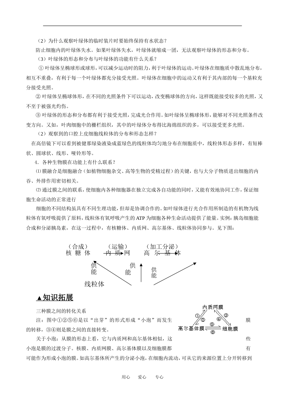 （新人教版必修1）生物：3.2《细胞器-系统内的分工合作》学案（1）_第2页