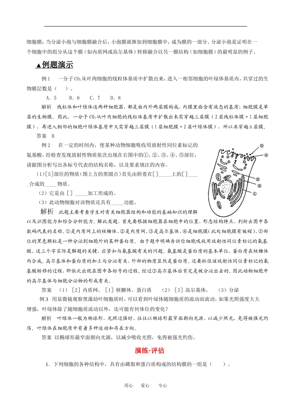 （新人教版必修1）生物：3.2《细胞器-系统内的分工合作》学案（1）_第3页