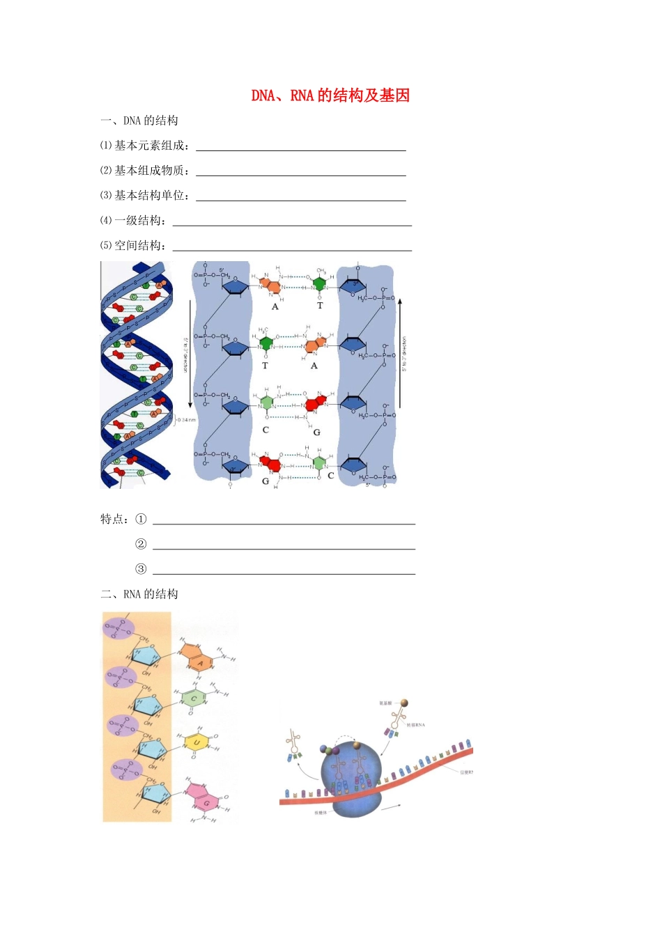 高考生物专题复习 2DNA、RNA的结构和基因学案-人教版高三全册生物学案_第1页