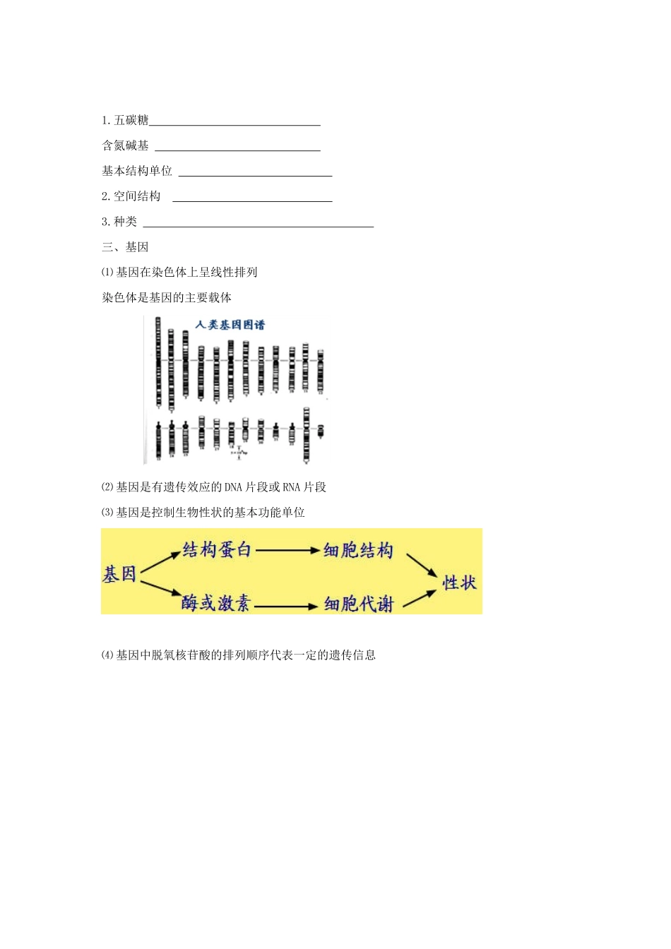高考生物专题复习 2DNA、RNA的结构和基因学案-人教版高三全册生物学案_第2页
