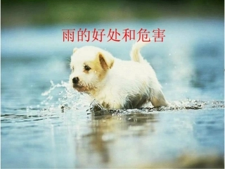 雨的好处和危害