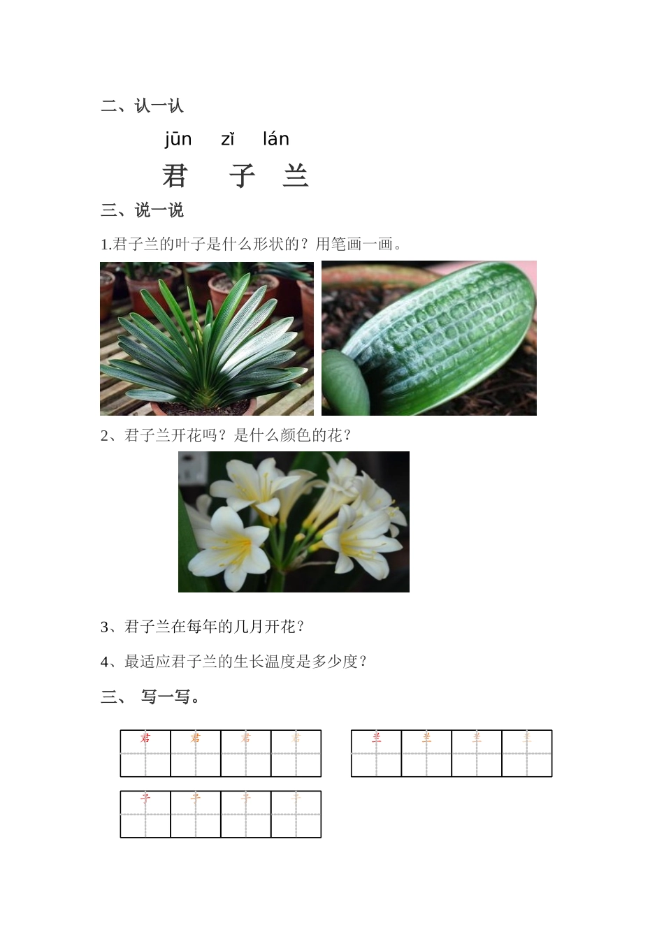 第一节君子兰_第2页