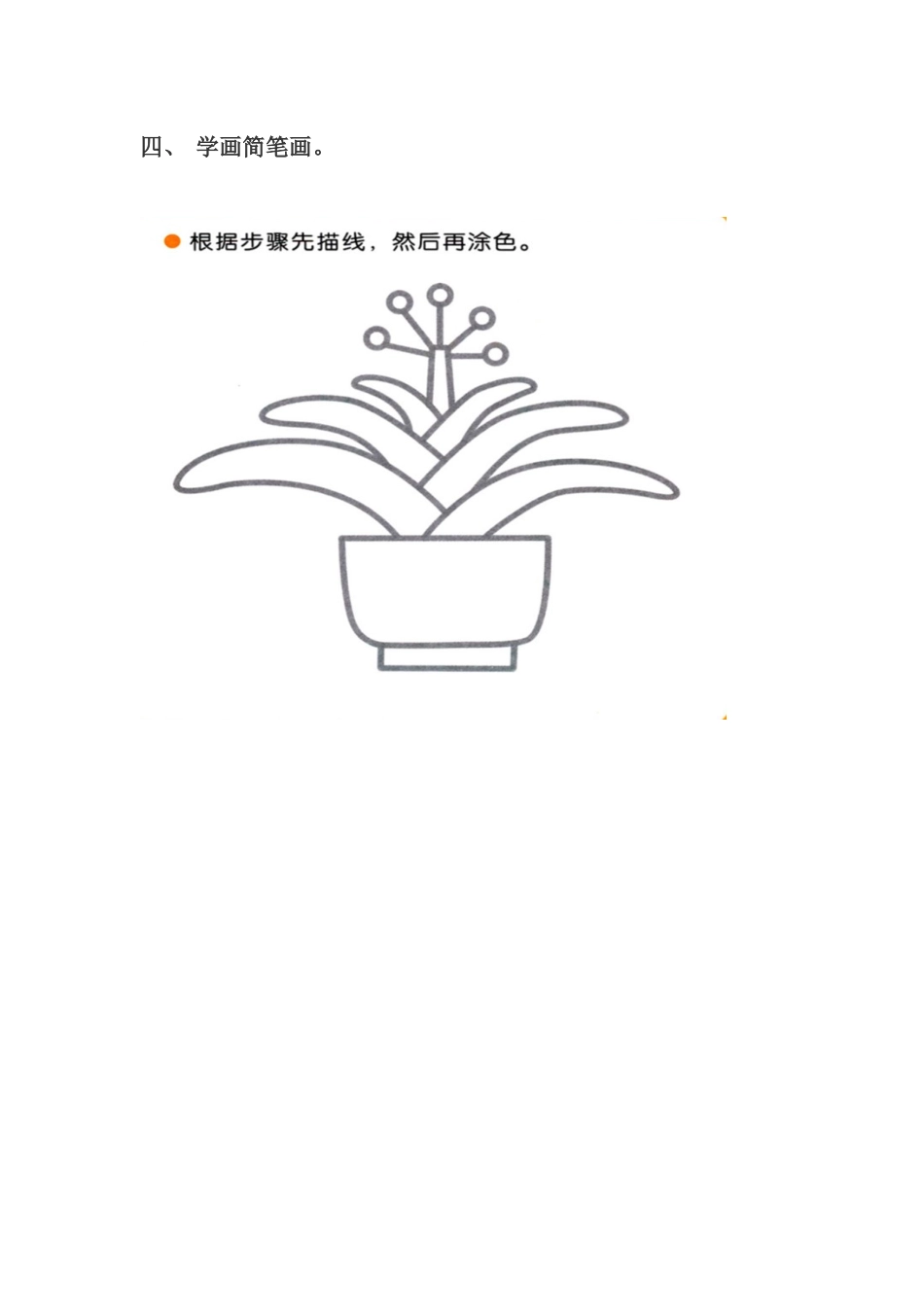 第一节君子兰_第3页