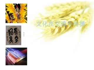 《高中政治》课件-文化在交流中传播