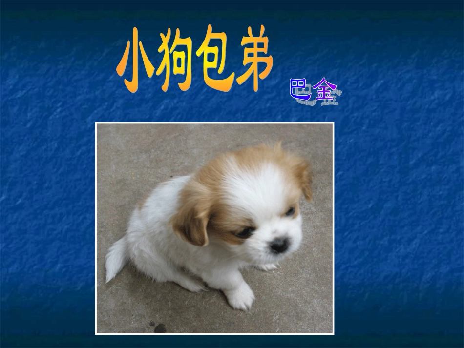 《小狗包弟》课件阿城一中舒宏霞_第3页