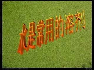 七年级科学下册 第一章第三节水是常用的溶剂1（华师大七下）