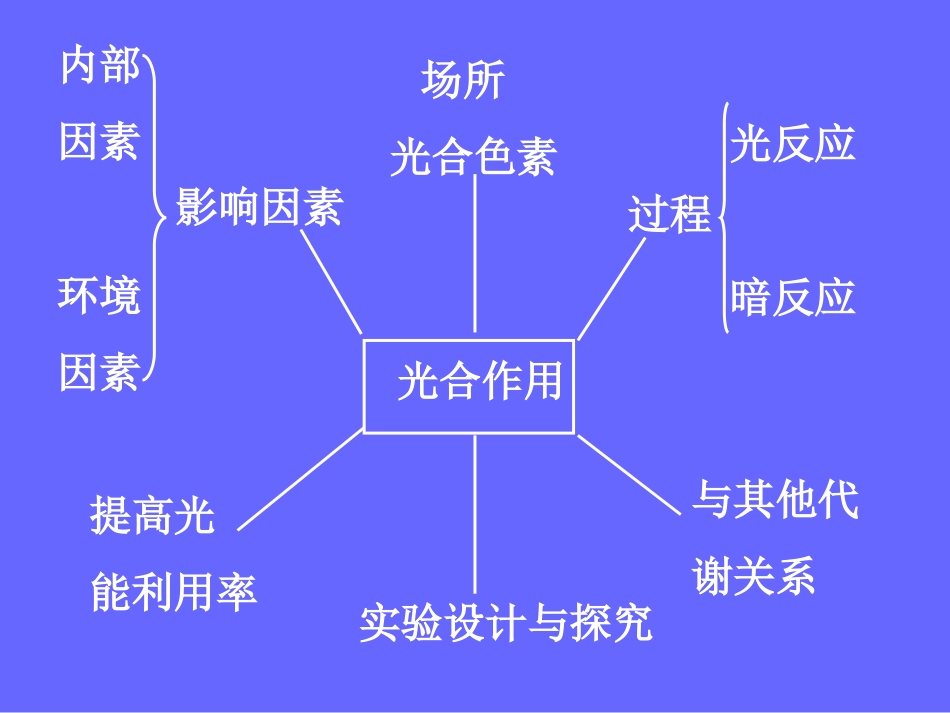 高考生物复习光合作用_第2页