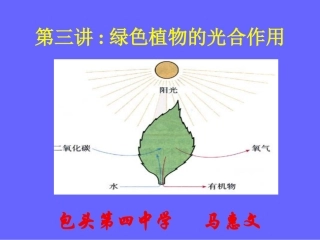高考生物复习光合作用