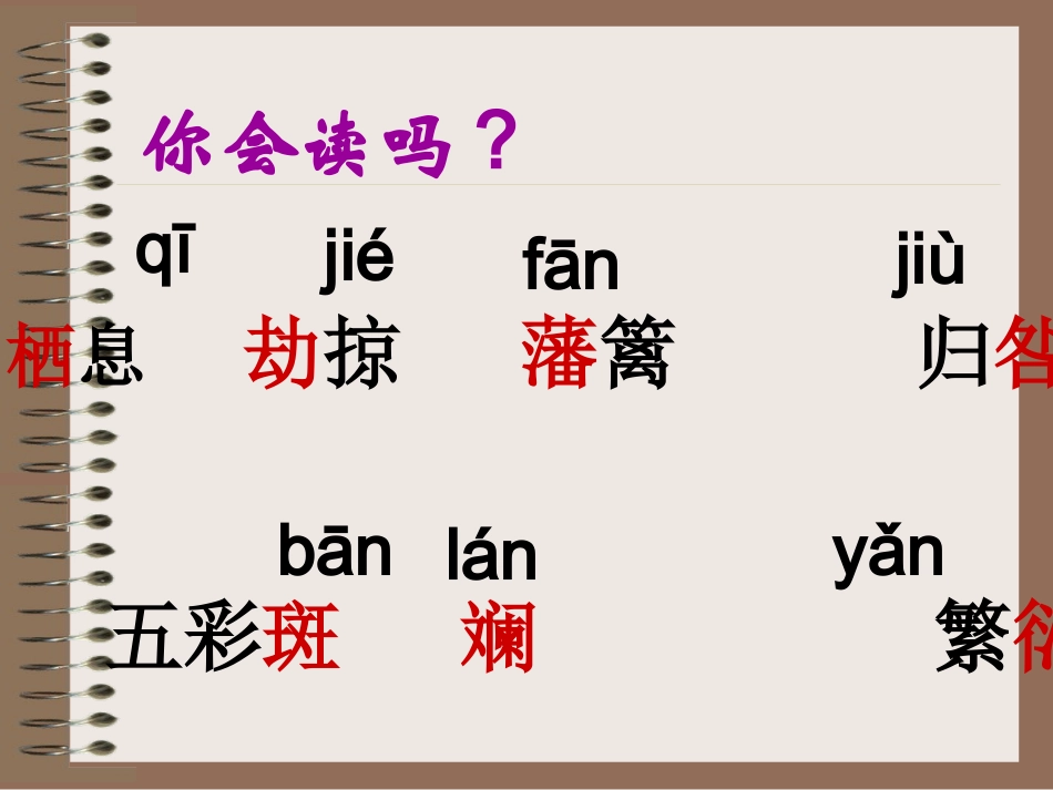 《生物入侵者》上课用_第3页
