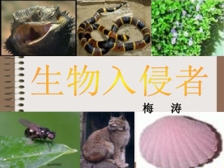 《生物入侵者》上课用