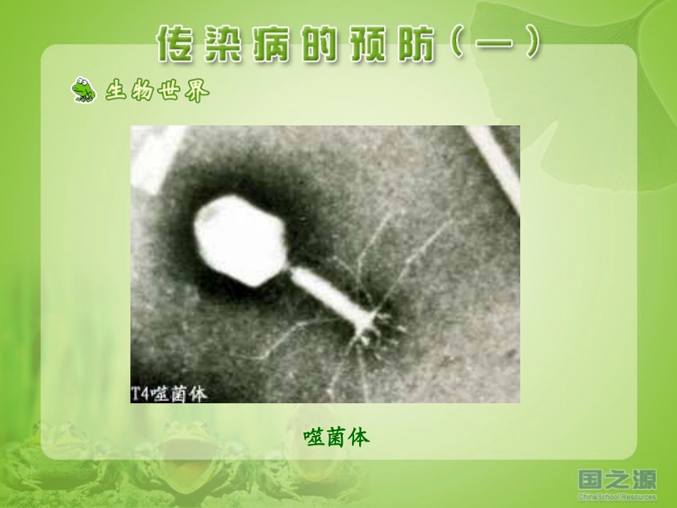 传染病的预防(一)_第2页