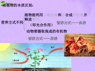 七年级科学上册 第六章第3节细菌和真菌课件 华东师大版