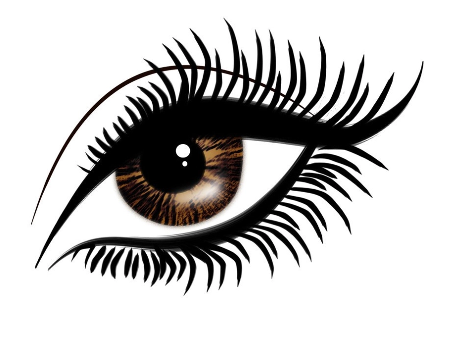 认识眼睛演示文稿_第2页