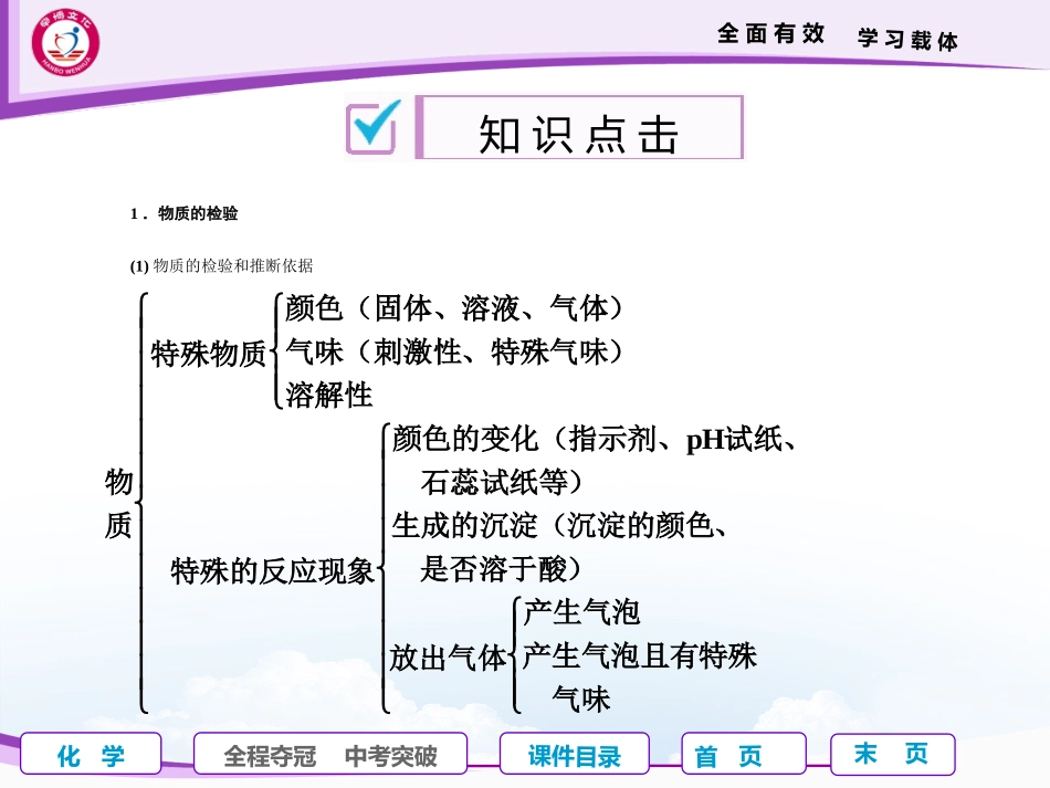 专题四科学探究之二——物质的检验、鉴别和除杂_第2页