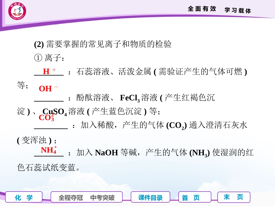 专题四科学探究之二——物质的检验、鉴别和除杂_第3页