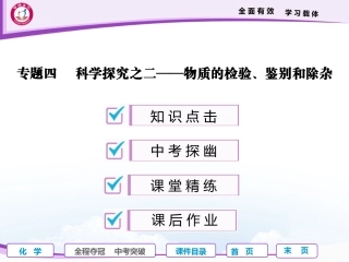 专题四科学探究之二——物质的检验、鉴别和除杂