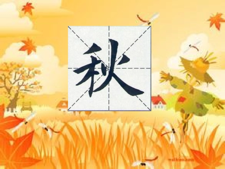 秋姑娘的信课件_第1页