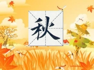 秋姑娘的信课件