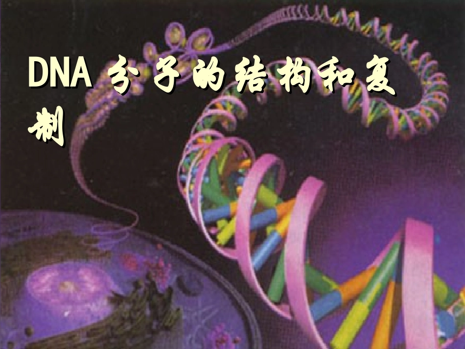 DNA分子的结构和复制_第1页