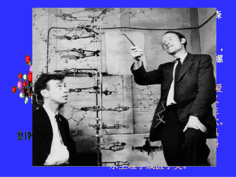 DNA分子的结构和复制_第2页