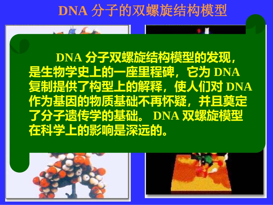 DNA分子的结构和复制_第3页