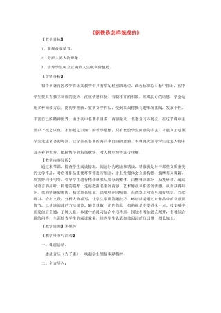 中考语文名著复习之《钢铁是怎样炼成的》复习教学设计 新人教版-新人教版初中九年级全册语文教案