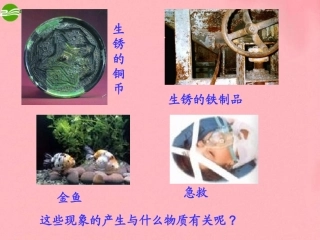 七年级科学下册 第二章第三节氧气 （华师大七下）