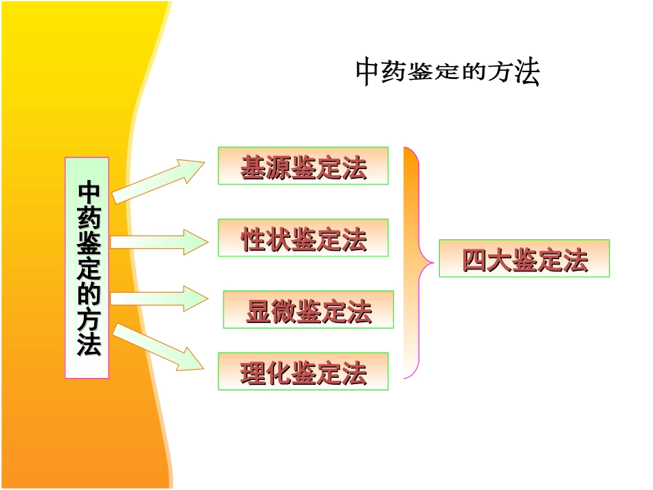中药鉴定培训_第2页