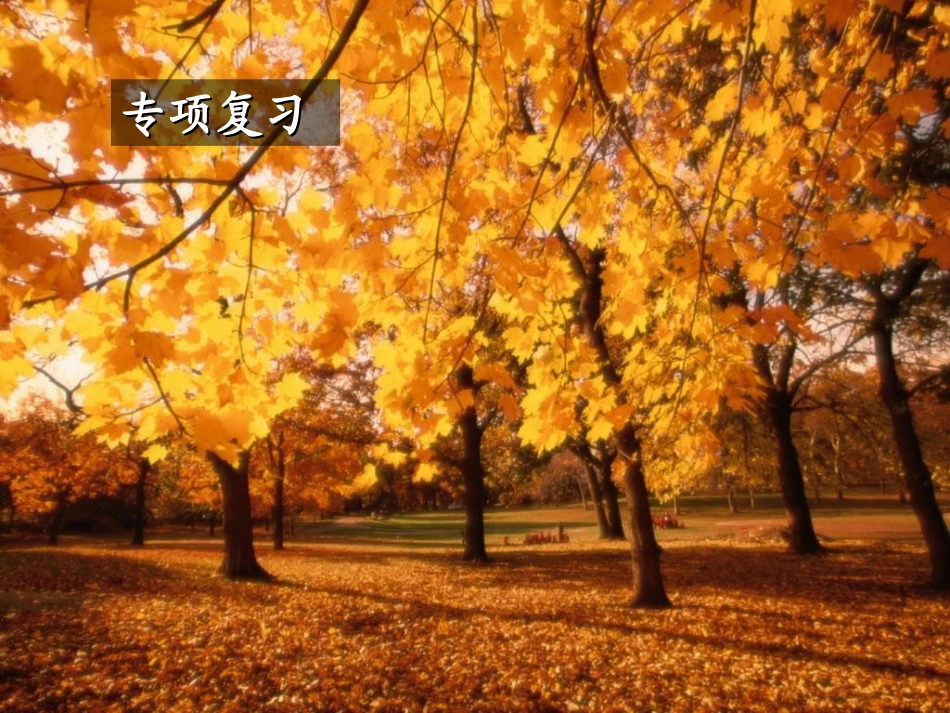 广告词的欣赏与拟写_第1页