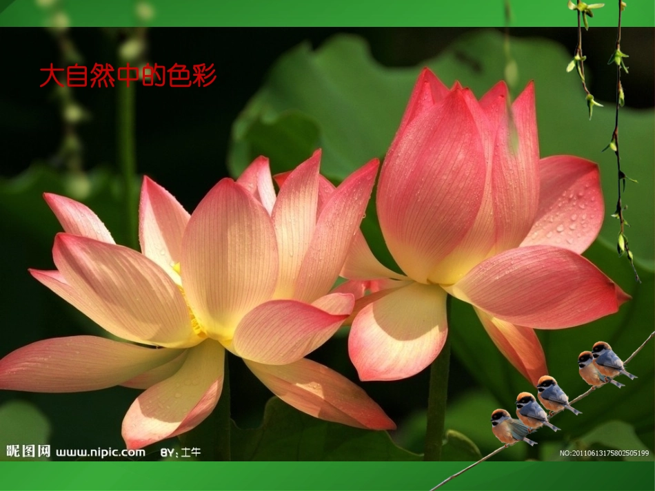 第二课：色彩的感染力_第2页