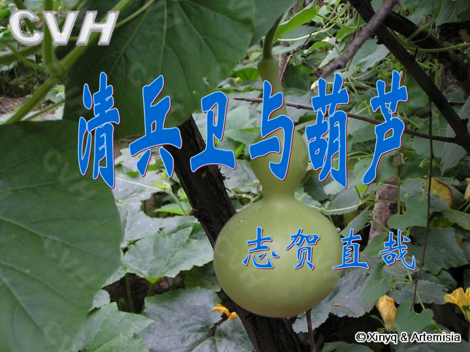 人教版-选修-《外国小说欣赏》《清兵卫与葫芦》_第1页